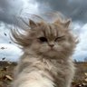 Фото профиля i love you but i hate my self