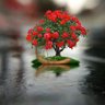 شهوده 的头像
