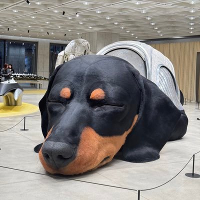 Gapnichap ヅ's profile picture