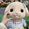 Profilbild von まゆ散歩