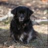 Karma’s Shade profil fotoğrafı