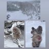 Фото профиля paty G