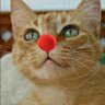flunxo2 profil fotoğrafı