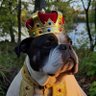 Profilbild von Brutus's Dad