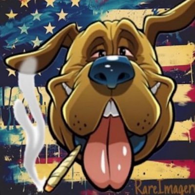 RareImagery's profile picture