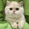 Profilbild von oioioi