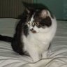 Profilbild von Katyusha Hercule