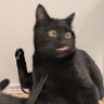 ウルスラ's profile picture