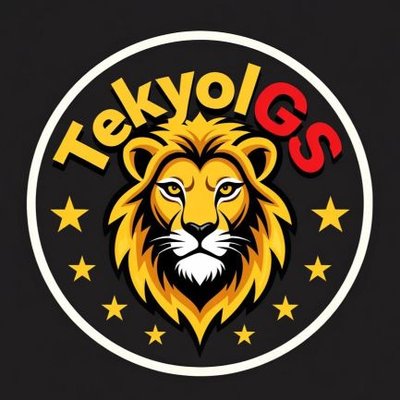 TekyolGS's profile picture