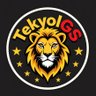 TekyolGS 的头像