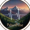 Pahari Pulse 的头像
