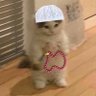 ب's profile picture