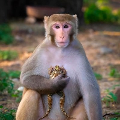 4evertiffytime_'s profile picture
