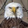 Profilbild von Nick E.