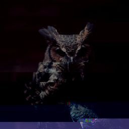 b1ack0wl's profile picture