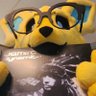 jazz profil fotoğrafı