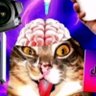 Rot profil fotoğrafı