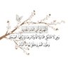 Фото профиля علم آدم محمد