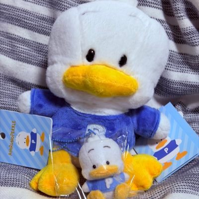 kino_2025_'s profile picture