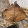 amina_hadi_'s profile picture