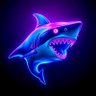 Shark Pool profil fotoğrafı