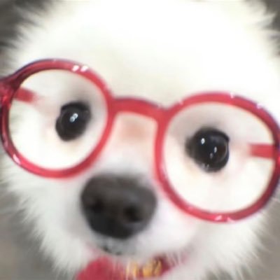 유's profile picture
