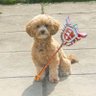 Fozzy's profile picture