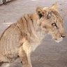.'s profile picture