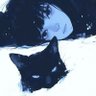 k's profile picture