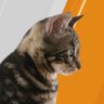 Profilbild von Ayden