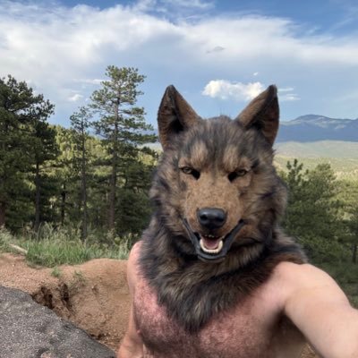 Gunnar's profile picture