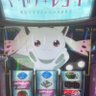 Profilbild von ボスケテ
