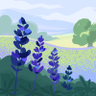 Profilbild von Lavanda Blanc