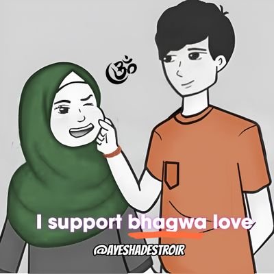 Ayesha destroyer's profile picture