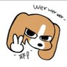 随薪配(比格多栋版)'s profile picture
