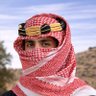 َنديب 的头像