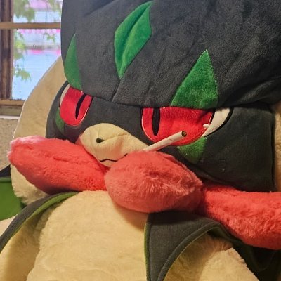 Praise4Braixen's profile picture
