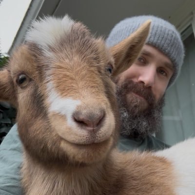 Jason Paladino's profile picture