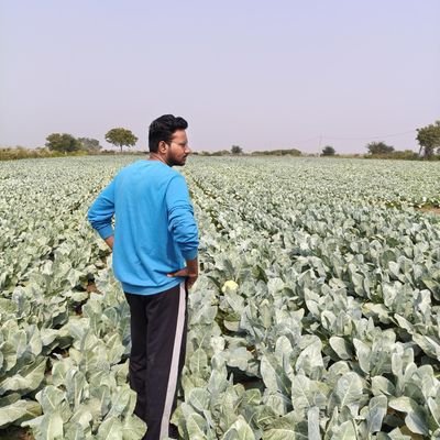 seven_week's profile picture