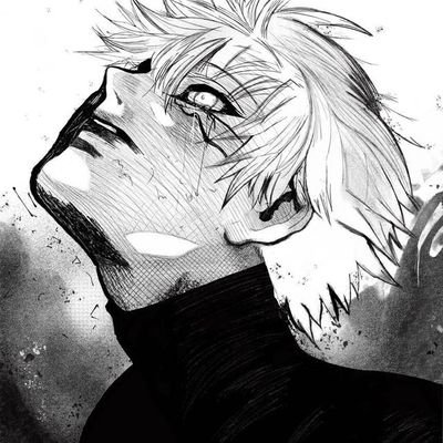 The Chief Captain's profile picture
