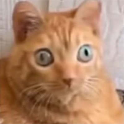 Doesky8!!'s profile picture