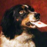 red's profile picture