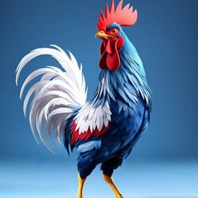 Ici_Fauvette 🤟✌️'s profile picture