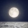 Фото профиля Moon