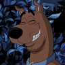 luana's profile picture