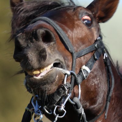 hirayu0611's profile picture