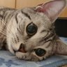 Profilbild von のぶ