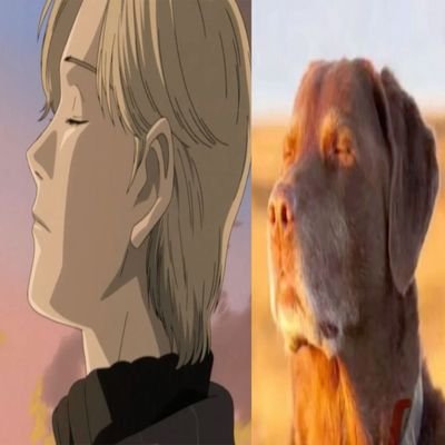 supri's profile picture