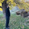 Emre GÜNEŞ 的头像