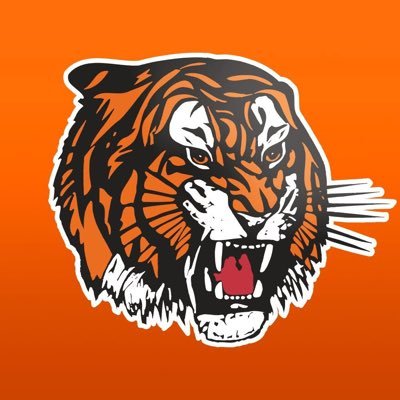 tigershockey's profile picture